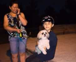Free download Dog-sitter in Training free photo or picture to be edited with GIMP online image editor