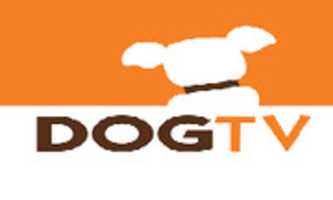 Free download dogtv free photo or picture to be edited with GIMP online image editor