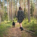 Dog walking  screen for extension Chrome web store in OffiDocs Chromium