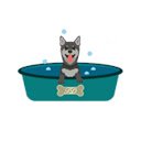 Dog Wash Station Buying Guide  screen for extension Chrome web store in OffiDocs Chromium
