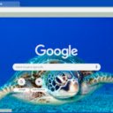 Dolphin  screen for extension Chrome web store in OffiDocs Chromium