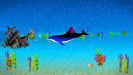 Unduh gratis Dolphin Aquarium Bottom - video gratis untuk diedit dengan editor video online OpenShot