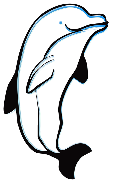Free download Dolphin Outline Animal -  free illustration to be edited with GIMP free online image editor