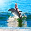 Dolphin ride  screen for extension Chrome web store in OffiDocs Chromium