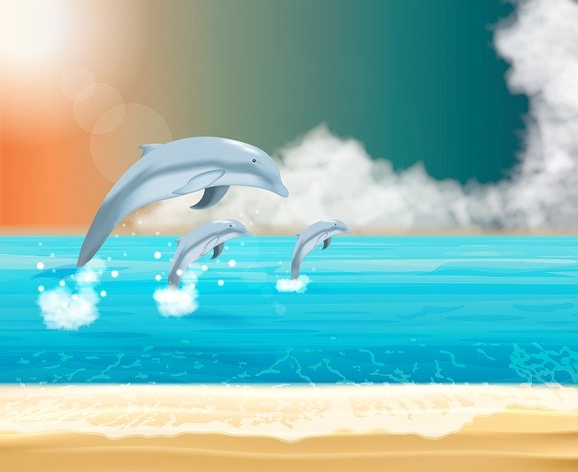 تنزيل مجاني رسم توضيحي مجاني من Dolphins Ocean Sea ليتم تحريره باستخدام محرر الصور عبر الإنترنت GIMP