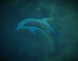 Free download Dolphin Wallpaper free photo or picture to be edited with GIMP online image editor