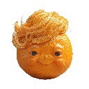 Donald to Felon  screen for extension Chrome web store in OffiDocs Chromium