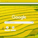 Dong Lua Vang  screen for extension Chrome web store in OffiDocs Chromium