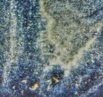 Free download Dorado. free photo or picture to be edited with GIMP online image editor