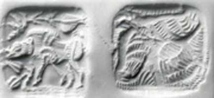 Free download Double-sided stamp seal and modern impression: striding boar; vulture free photo or picture to be edited with GIMP online image editor