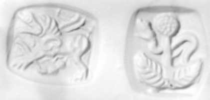 Free download Double-sided stamp seal: snake behind tree; winged dragon free photo or picture to be edited with GIMP online image editor