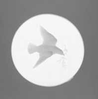 Free download Dove on the Wing with Olive Branch free photo or picture to be edited with GIMP online image editor