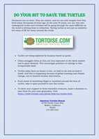 Free download Do Your Bit To Save The Turtles free photo or picture to be edited with GIMP online image editor