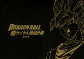 Free download Dragon Ball: Raging Blast Art Book free photo or picture to be edited with GIMP online image editor