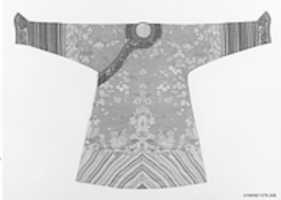 Free download Dragon Robe free photo or picture to be edited with GIMP online image editor