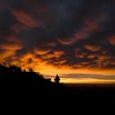 Dramatic Sunset Silhouette Over City Skyline  screen for extension Chrome web store in OffiDocs Chromium