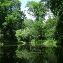 Dream green park  screen for extension Chrome web store in OffiDocs Chromium