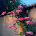 Dreamy wallpaper  screen for extension Chrome web store in OffiDocs Chromium