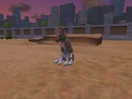 Free download DreamZoo2 - Arabian Rex Fox (Makaio) free photo or picture to be edited with GIMP online image editor