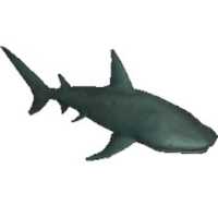 Free download DreamZoo2 - Basking Shark (SpinoSquad) free photo or picture to be edited with GIMP online image editor