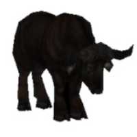 Free download DreamZoo2 - Cape Buffalo (SpinoSquad) free photo or picture to be edited with GIMP online image editor