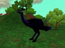 Free download DreamZoo2 - The Dark Phoenix (Makaio) free photo or picture to be edited with GIMP online image editor