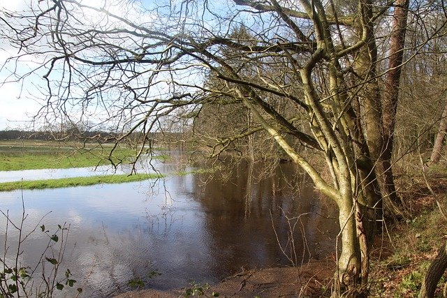 Free download drentsche aa national park drenthe free picture to be edited with GIMP free online image editor