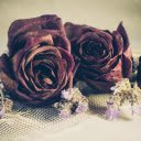 Dried flowers  screen for extension Chrome web store in OffiDocs Chromium