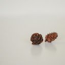 Dried pine cones  screen for extension Chrome web store in OffiDocs Chromium