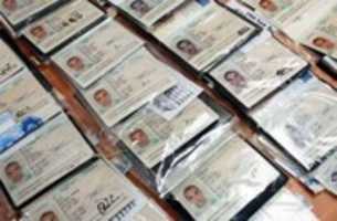 Free download Drivers License Id Cards free photo or picture to be edited with GIMP online image editor