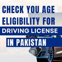 Driving License Eligibility Checker  screen for extension Chrome web store in OffiDocs Chromium
