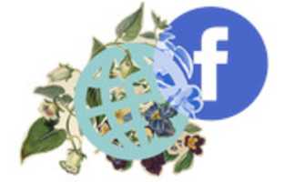 Free download DRL Facebook Mundo Planta ( 4 2015) free photo or picture to be edited with GIMP online image editor