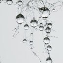 Drops of water on the wire  screen for extension Chrome web store in OffiDocs Chromium