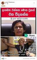 Free download drpadma_guneratne free photo or picture to be edited with GIMP online image editor