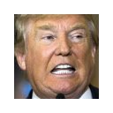 Drumpf  screen for extension Chrome web store in OffiDocs Chromium