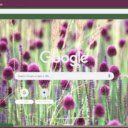 Drumstick Allium  screen for extension Chrome web store in OffiDocs Chromium