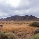 Dry grass and rocks  screen for extension Chrome web store in OffiDocs Chromium