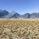Dry grass area  screen for extension Chrome web store in OffiDocs Chromium
