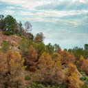 Dry Season Hills  screen for extension Chrome web store in OffiDocs Chromium