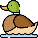 Duck on a Calm Lake  screen for extension Chrome web store in OffiDocs Chromium