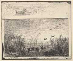 Bezpłatne pobieranie Ducks in the Marshes darmowe zdjęcie lub obraz do edycji za pomocą internetowego edytora obrazów GIMP