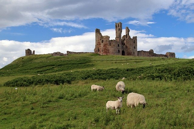 Free download dunstanburgh castle castle ruins free picture to be edited with GIMP free online image editor