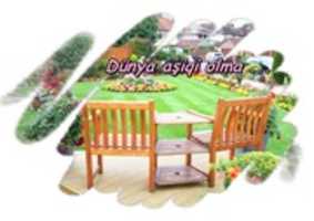 Free download Dunya Asiqi Olma free photo or picture to be edited with GIMP online image editor