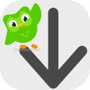 Duolingo Vocabulary Downloader  screen for extension Chrome web store in OffiDocs Chromium