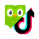 DuoTok: watch Netflix to learn languages  screen for extension Chrome web store in OffiDocs Chromium