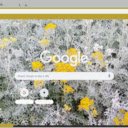 Dusty Miller Silver  screen for extension Chrome web store in OffiDocs Chromium