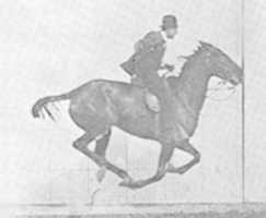 Free download EADWEARD JAMES MUYBRIDGE CATALOGUE OF PHOTOGRAPHIC VIEWS HORSE OCCIDENT HOOVES OFF THE GROUND 1873 free photo or picture to be edited with GIMP online image editor