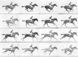 Free download EADWEARD JAMES MUYBRIDGE CATALOGUE OF PHOTOGRAPHIC VIEWS HORSE SALLIE GARDNER PROOF SHEET 1873 free photo or picture to be edited with GIMP online image editor