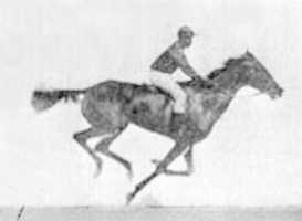 Free download EADWEARD JAMES MUYBRIDGE CATALOGUE OF PHOTOGRAPHIC VIEWS HORSE SALLIE GARDNER TROTTING 1873 free photo or picture to be edited with GIMP online image editor