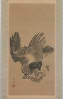 Free download Eagle Attacking a Monkey free photo or picture to be edited with GIMP online image editor